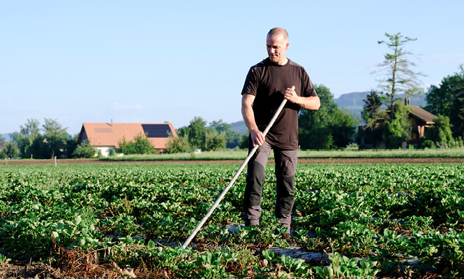 T-Shirts & polos de travail