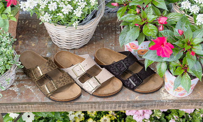Chaussures Birkenstock
