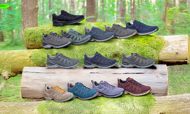 Chaussure de nordic walking et de randonnée LOWA