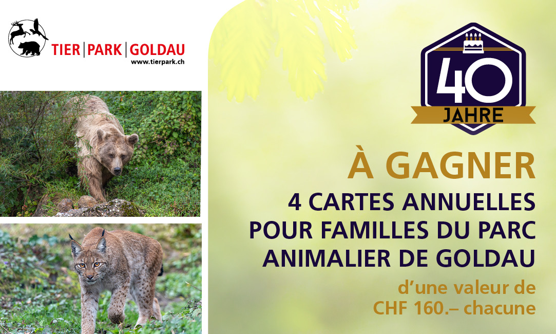 Concours actuel pour l'anniversaire