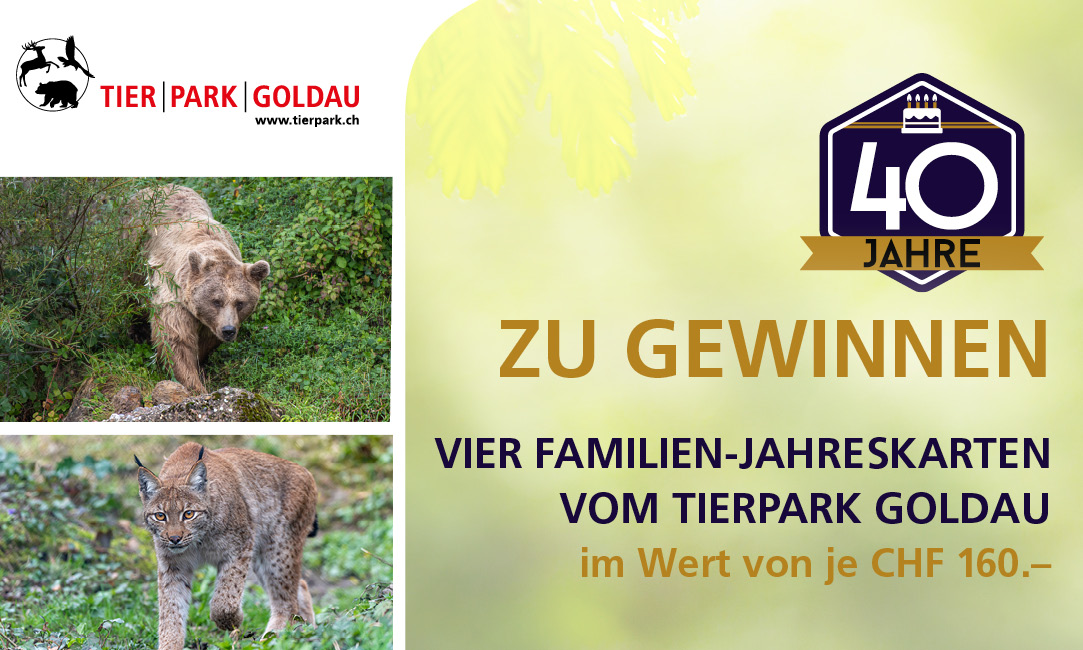 Aktuelles Jubiläums Gewinnspiel
