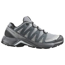 SALOMON X Adventure Recon GTX-Multifunktionsschuh für Damen grau