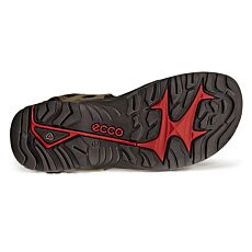 Ecco Sandalette outdoor pour hommes olive