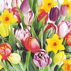 Servietten Bouquet of Tulips