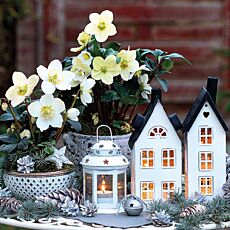 Serviettes Lovely Decorations