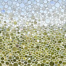 Film statique pour vitres Codol, semi-transparent