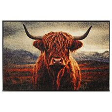 Paillasson Yakki 50x75 cm