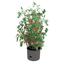 Pot Jumbo pour culture de tomates anthracite
