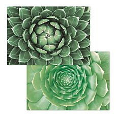 Sets en papier plantes grasses
