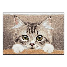 Türvorlage Katze 50x75 cm