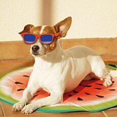 Starlyf Pet Cooling Matte
