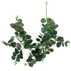 Branche décorative d'eucalyptus