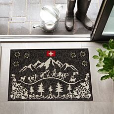 Türmatte Schweizer Berge Filz