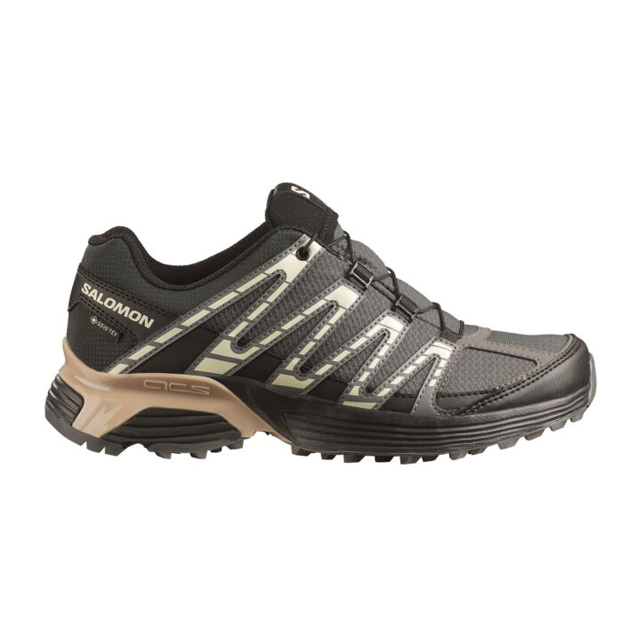 Salomon XT Reckon Low GTX Trailrunning-Schuh für Damen anthrazit
