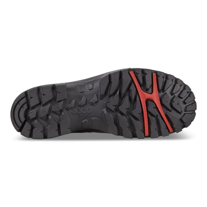 Chaussure de trekking et de randonnée pour hommes ECCO XPEDITION III Mid Cut