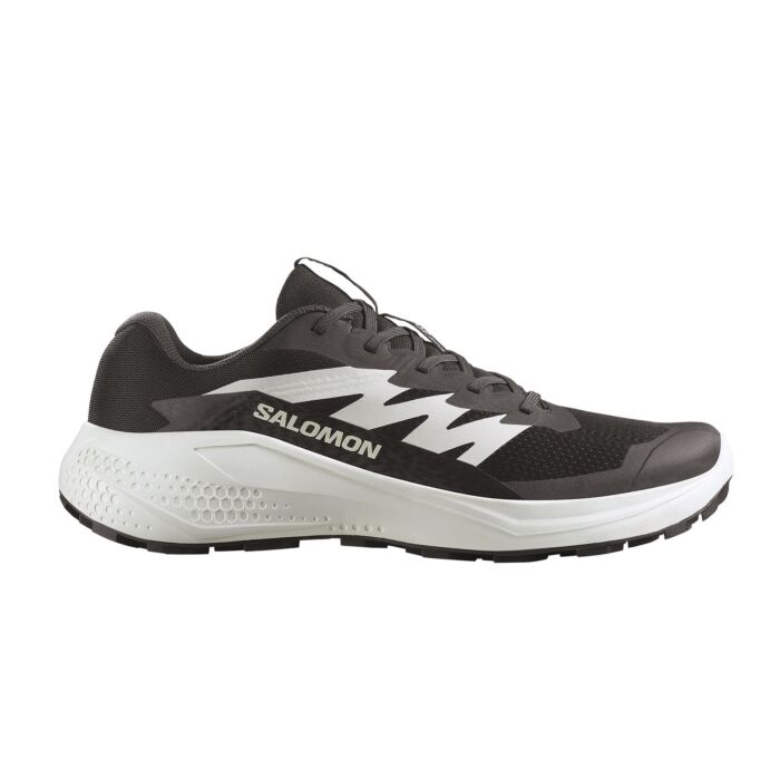 Salomon Alphaglide Multifunktionsschuh für Herren schwarz