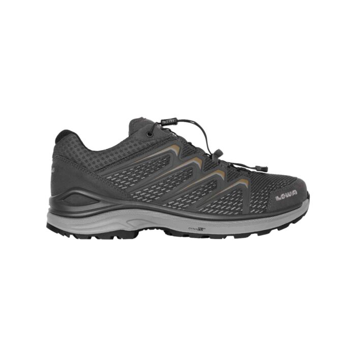 Lowa Meadow GTX Low Outdoorschuh für Herren graphit