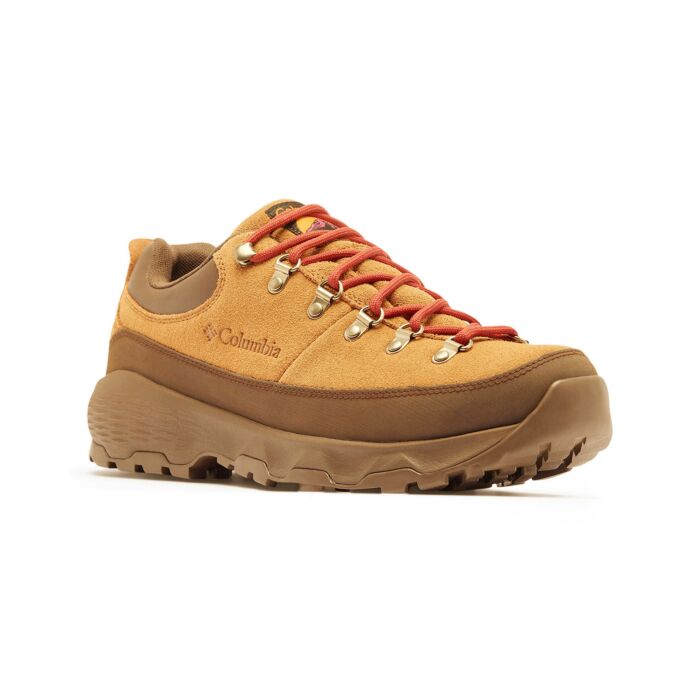 Outdoor Sneaker sportives COLUMBIA Newton Alpine Low pour hommes