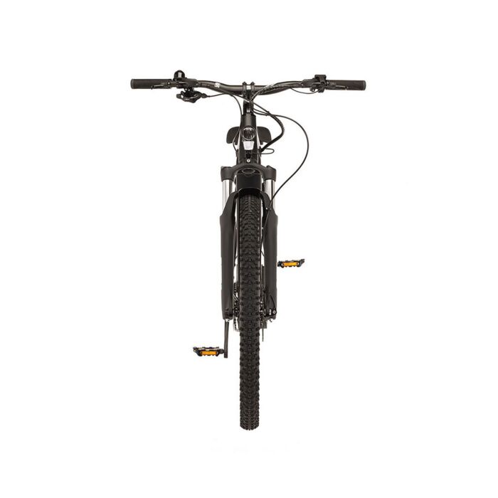 Fischer E-Bike Terra 5.0