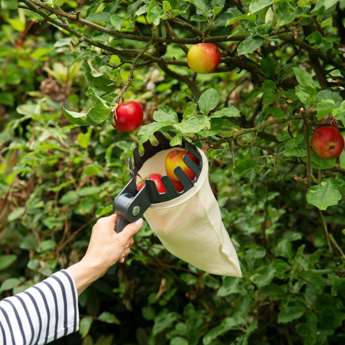 Obstsammler 2in1 mit Teleskopstiel