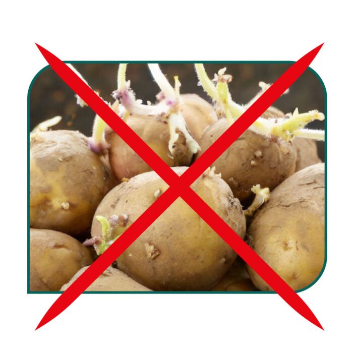 Potato Smart Tupperware™ de la série PantrySmart