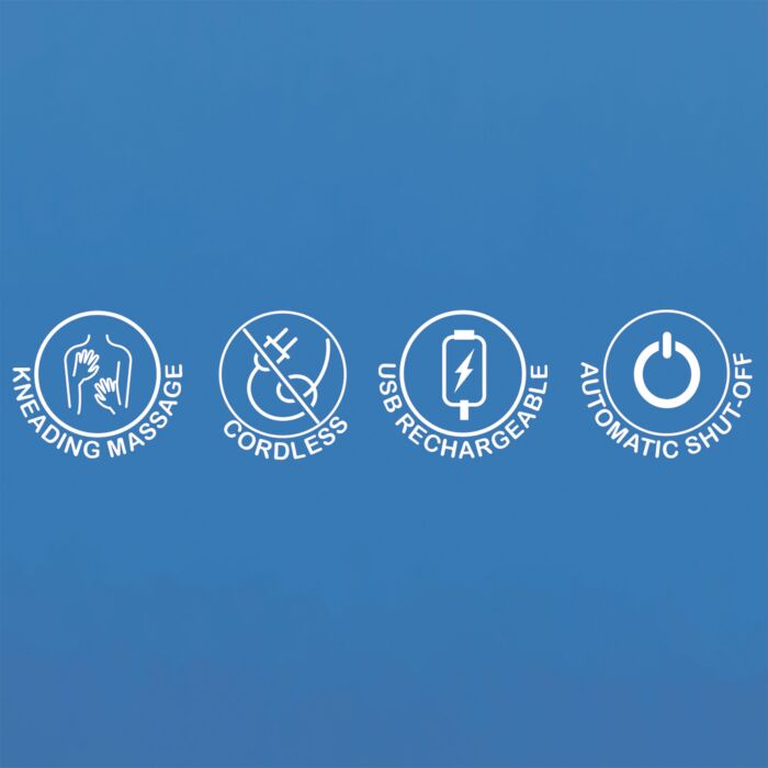 Wellprime Massager Pro