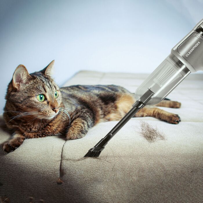 Aspirateur à main cyclonique Cleanmaxx sans fil