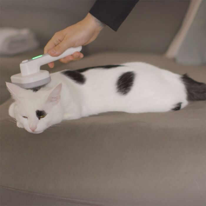 PiddiPet Tierhaarbürste IonBrush