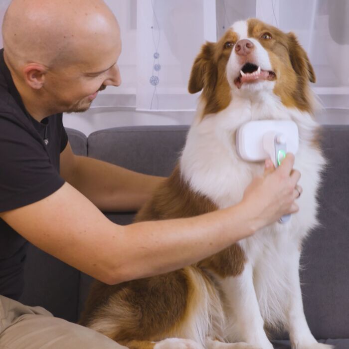 PiddiPet Tierhaarbürste IonBrush