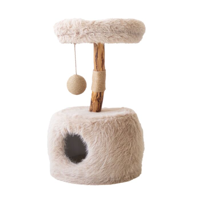 Katzenbaum Ashira
