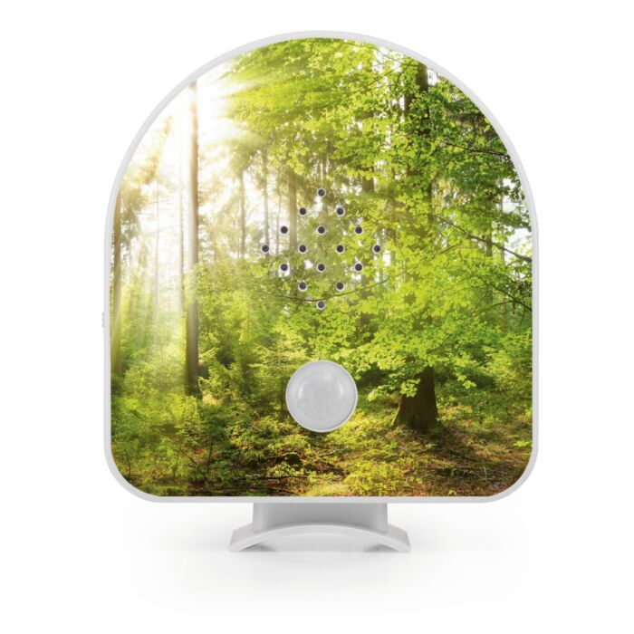 EASYmaxx Soundbox