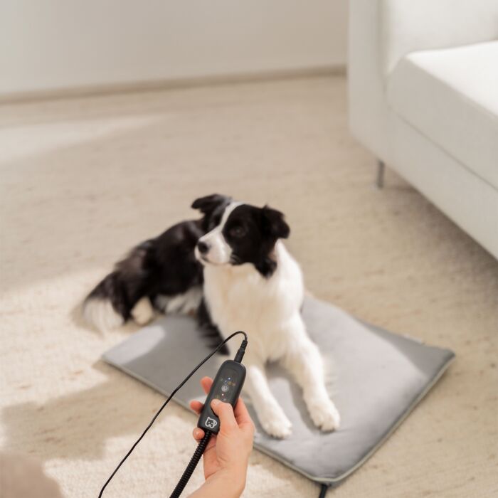 Tapis chauffant Beurer PP 220 Sammy pour animaux de compagnie