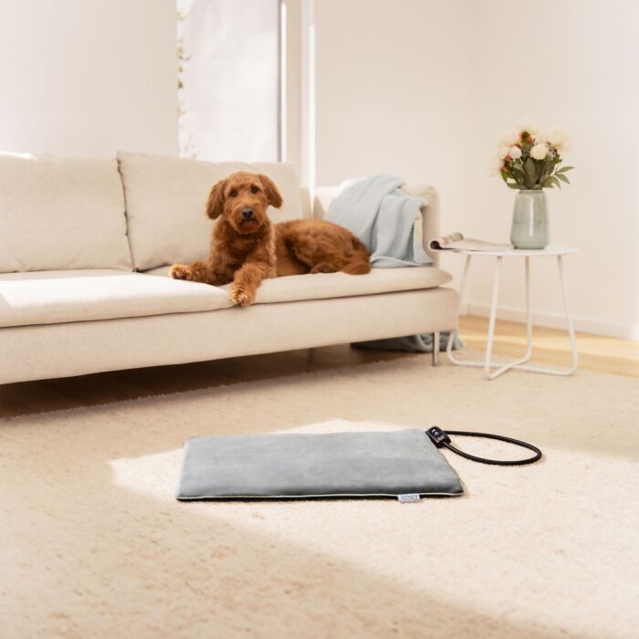 Tapis chauffant Beurer PP 220 Sammy pour animaux de compagnie