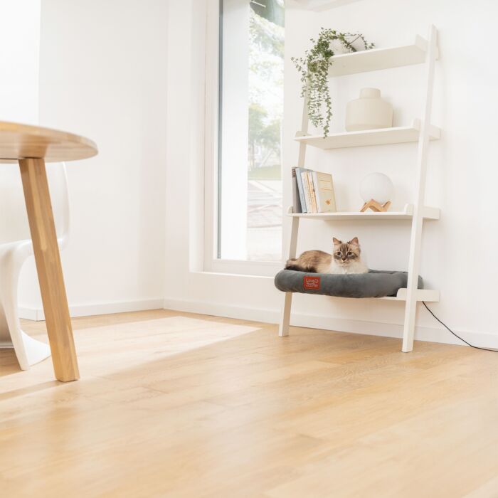 Beurer PP 250 Kira Wärmebett für Haustiere