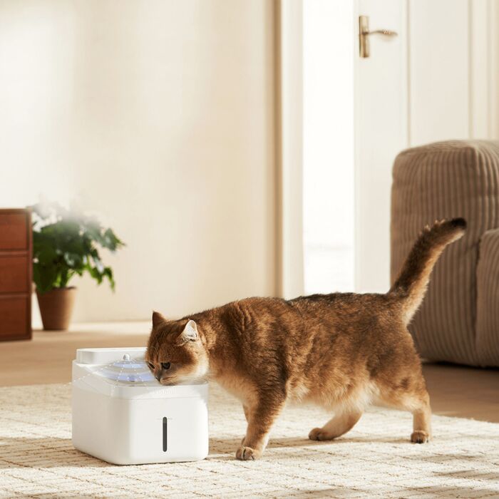 Xiaomi Smart Pet Fountain 2