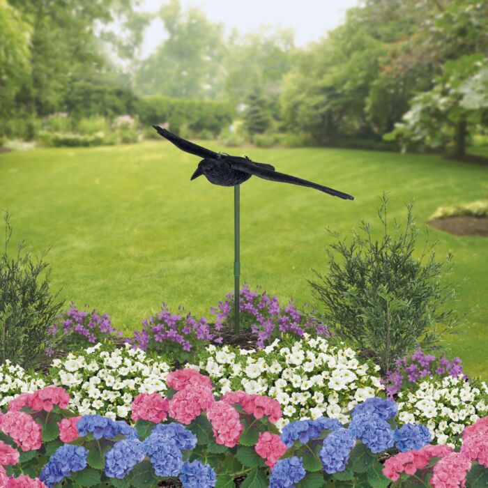 Epouvantail corbeau main product photo