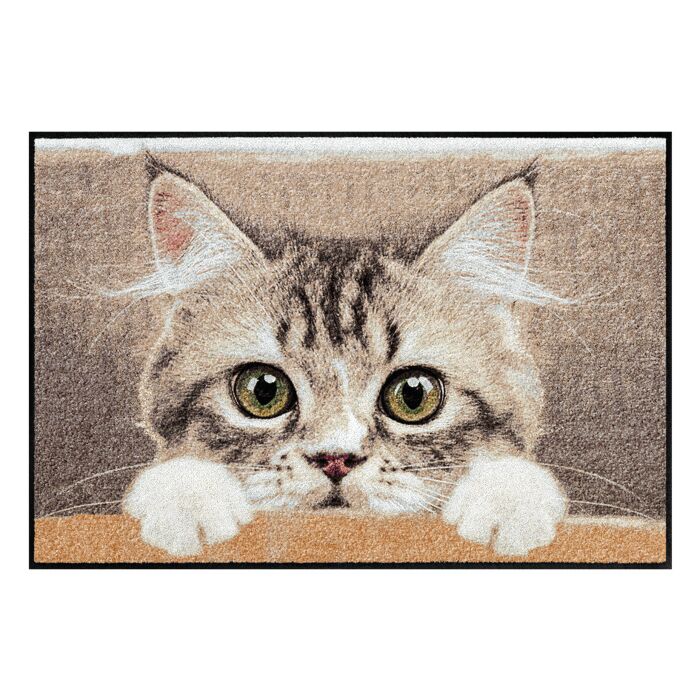 Türvorlage Katze 50x75 cm