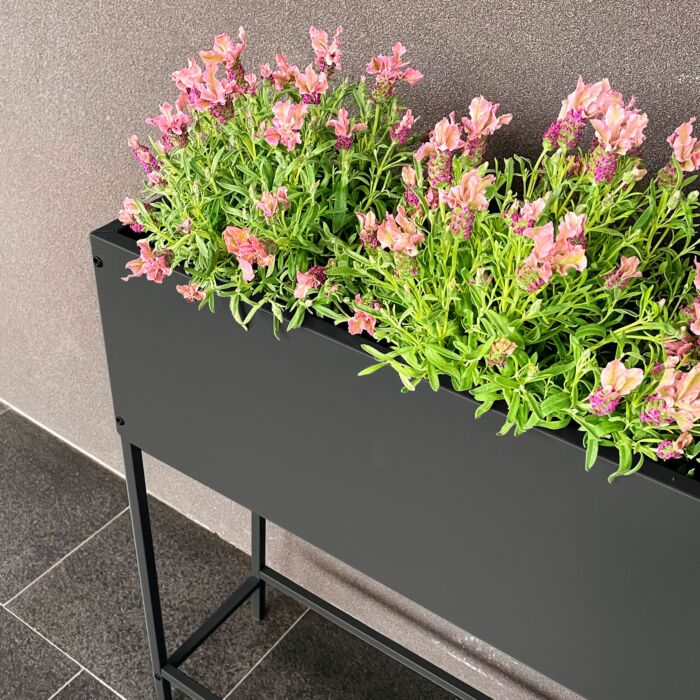 Jardinière surélevée