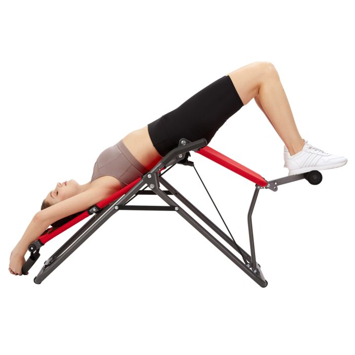 Backlounge 2 in 1 Inversionstrainer main product photo