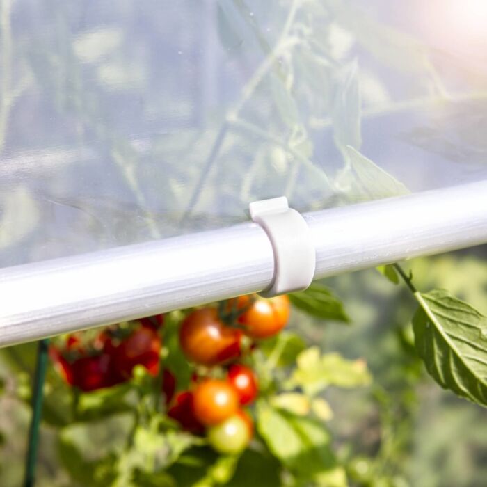 Serre à tomates AluStar