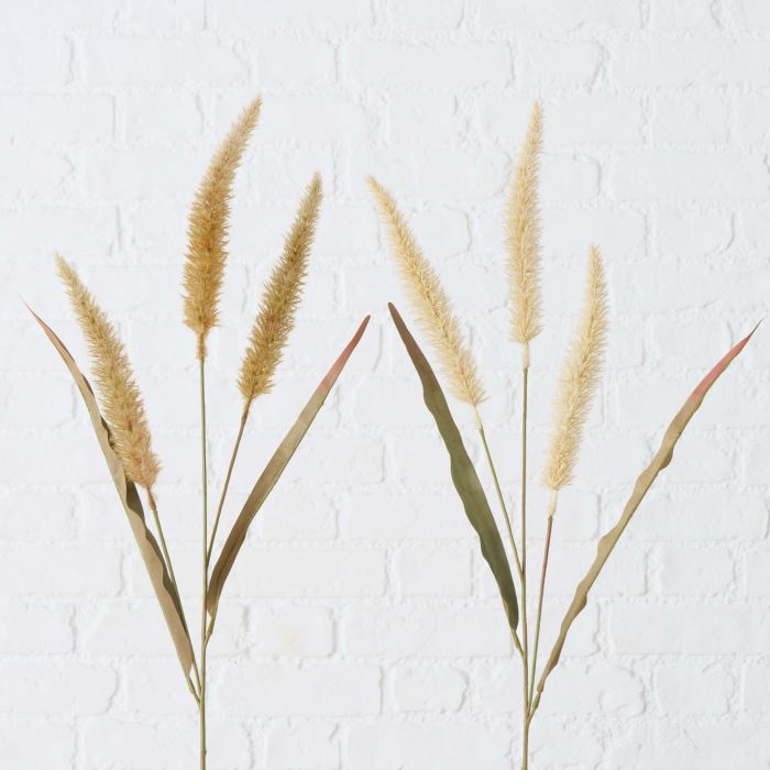 Image of Dekozweig Lampenputzergras 2er Set bei Lehner Versand Schweiz