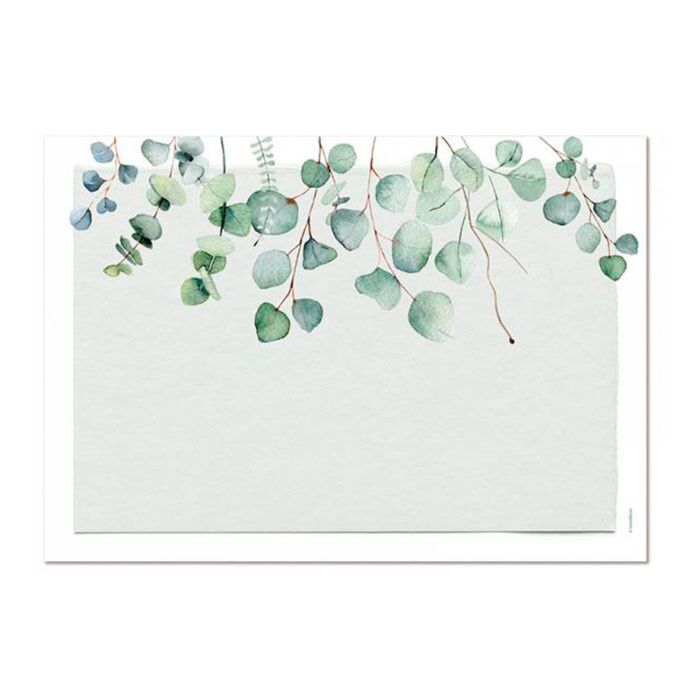 Papiertischset Eucalyptus