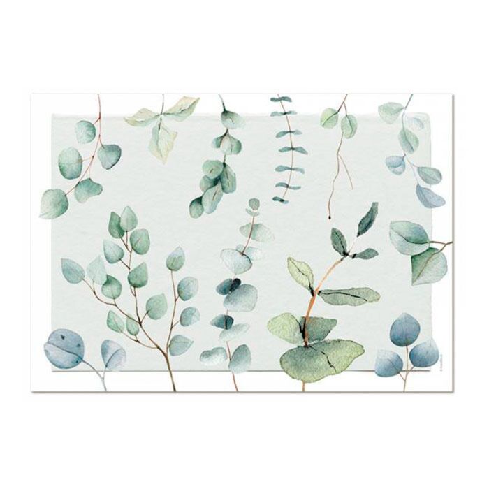 Papiertischset Eucalyptus