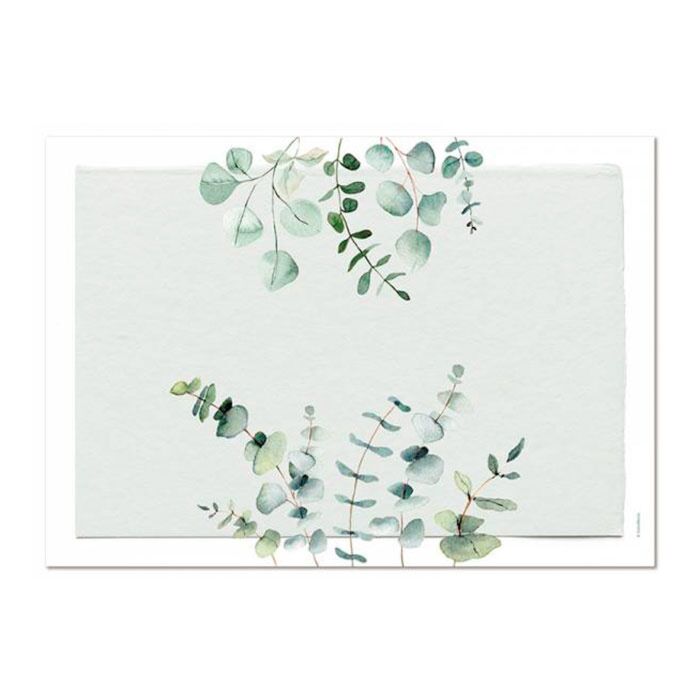 Papiertischset Eucalyptus