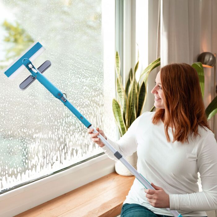 Système de nettoyage de vitres Livington Window Buddy