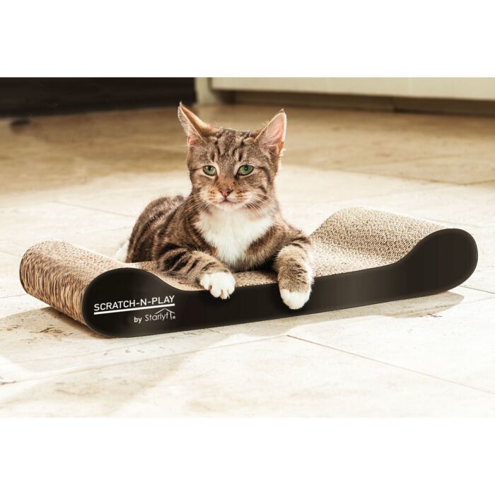 Tapis-grattoir Starlyf Scratch-n-play avec plumeau main product photo