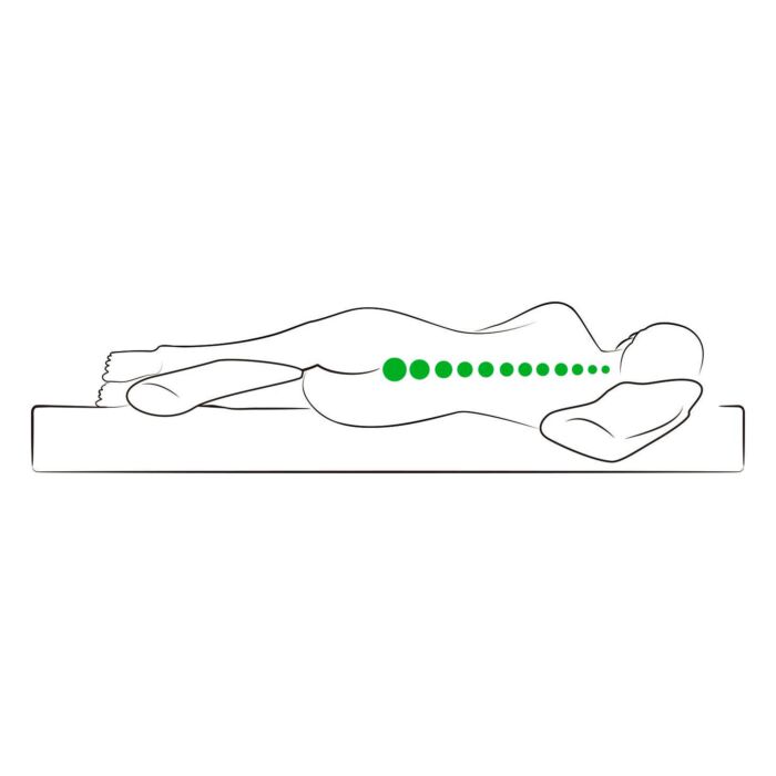 Oreiller confort Dreamolino Swan Pillow