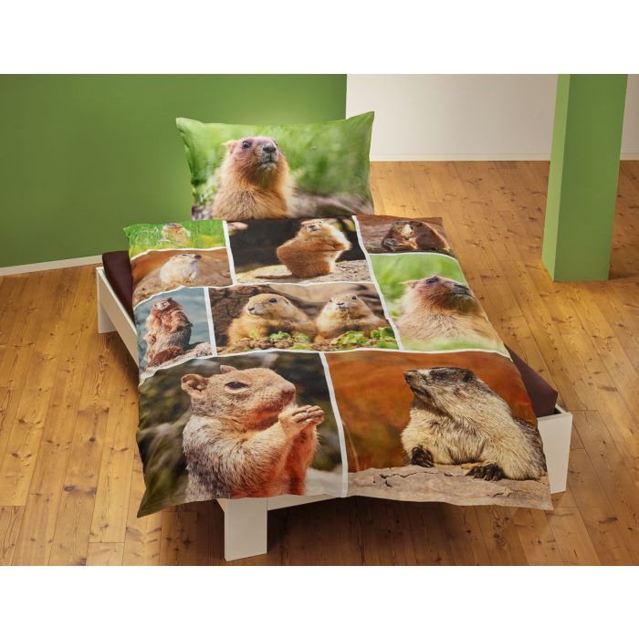 Image of Bettwäsche mit süssen Murmeltier-Motiven, mehrfarbig, 65x100 cm / 160x210 cm bei Lehner Versand Schweiz