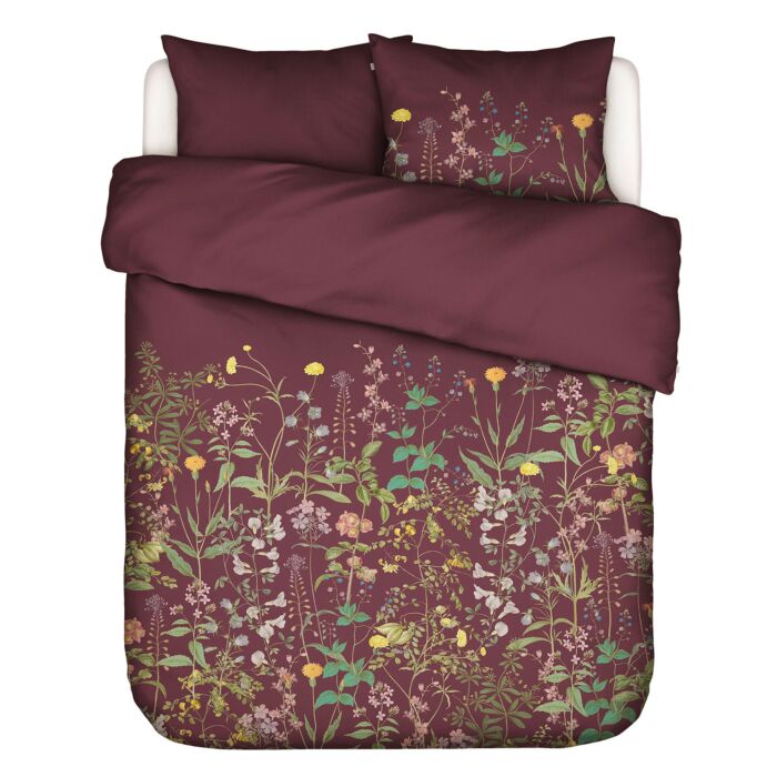 Essenza Bettwäsche Augustina – Kissenbezug – 65x65 cm