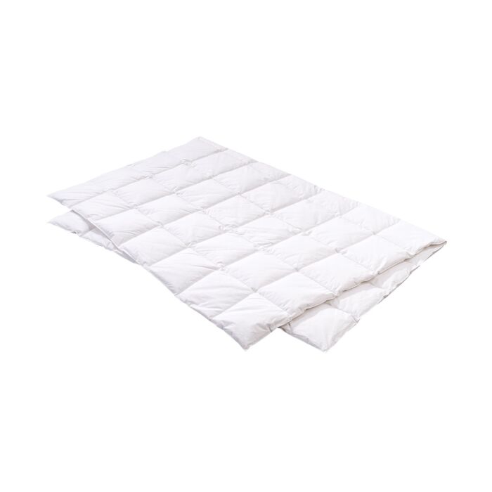 Duvet léger Swiss Edition 90 light